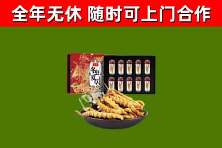 合水县回收冬虫夏草价格